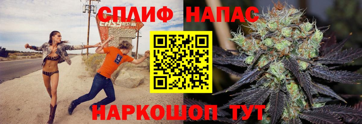 Конопля план Коркино
