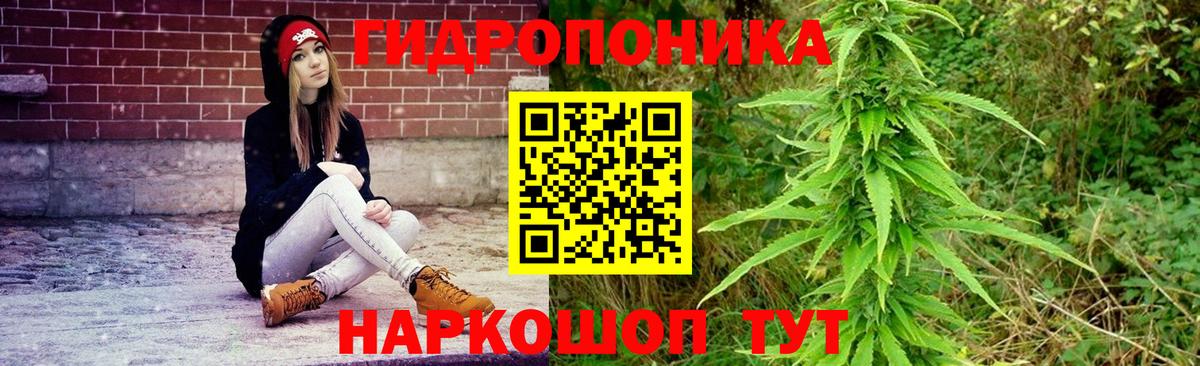 Марихуана план  Конопля марихуана  Вход с VPN  Коркино  Конопля планчик 